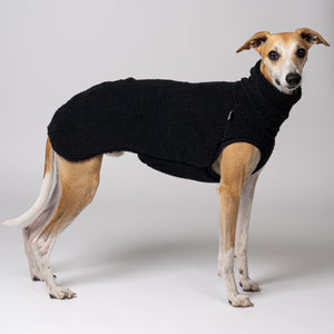 Junger Whippet im flauschigen Teddy-Fleece in Schwarz – weich und wärmend