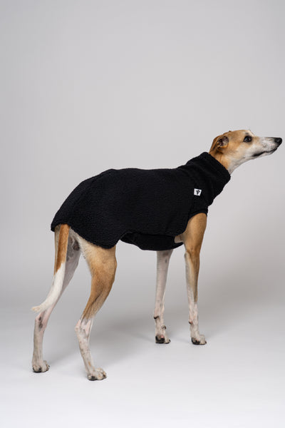 Schwarzes Teddy-Fleece auf weißem Hintergrund – Whippet zeigt Windhundkleidung mit Struktur