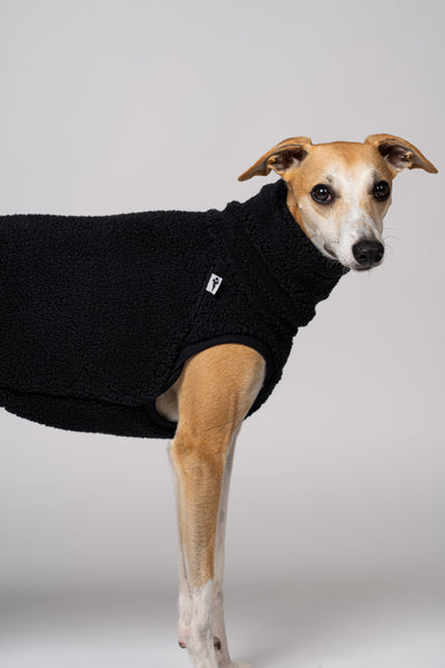 Kuschelig & stilvoll: Whippet im schwarzen Teddyshirt für kalte Tage