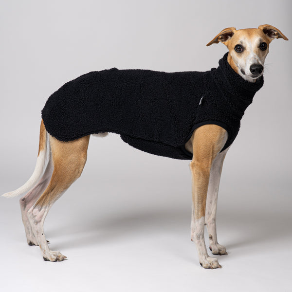 Junger Whippet im flauschigen Teddy-Fleece in Schwarz – weich und wärmend