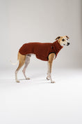 Bild in Galerie-Betrachter laden, Whippet im kuscheligen Teddy Long Shirt – weiches, wärmendes Shirt für Windhunde an kühlen Tagen
