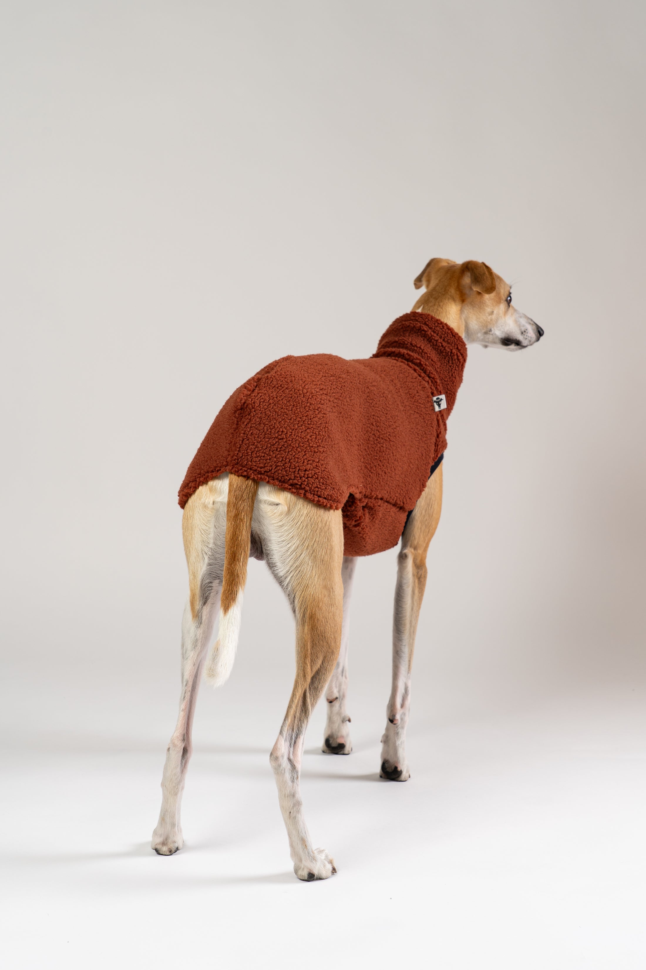 Whippet im flauschigen Sherpa Long Shirt – handgefertigte Windhundbekleidung aus Berlin