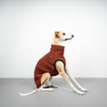 Bild in Galerie-Betrachter laden, TEDDY SHIRT Windhund Rostbraun
