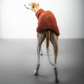 Bild in Galerie-Betrachter laden, TEDDY SHIRT Windhund Rostbraun
