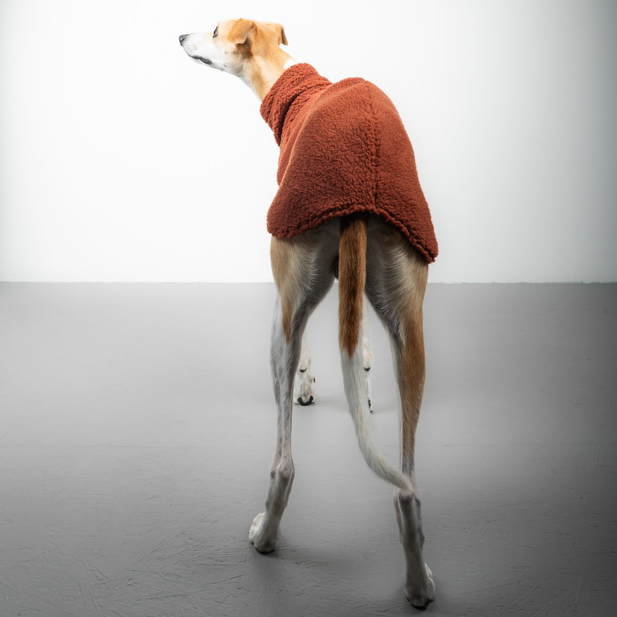 TEDDY SHIRT Windhund Rostbraun