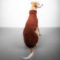Bild in Galerie-Betrachter laden, TEDDY SHIRT Windhund Rostbraun
