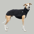 Bild in Galerie-Betrachter laden, TEDDY SHIRT Windhund Schwarz
