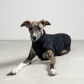 Bild in Galerie-Betrachter laden, TEDDY SHIRT Windhund Schwarz
