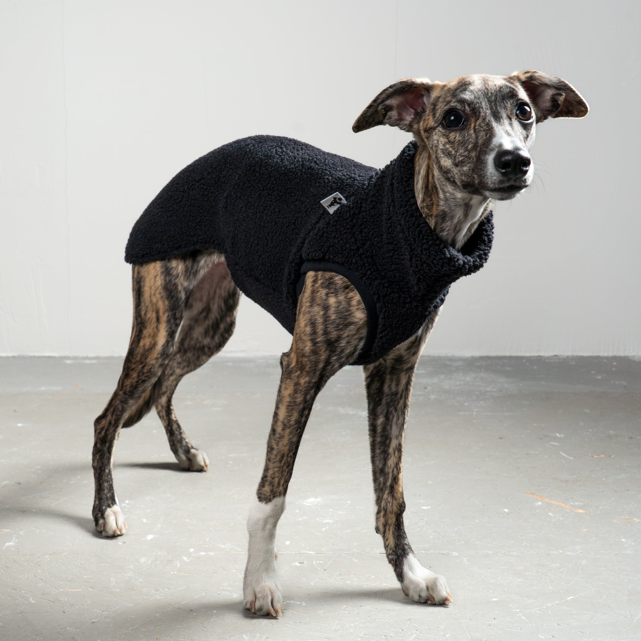 TEDDY SHIRT Windhund Schwarz
