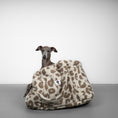 Bild in Galerie-Betrachter laden, Teddy Shopper Leo Taupe
