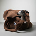 Bild in Galerie-Betrachter laden, Teddy Shopper BROWN
