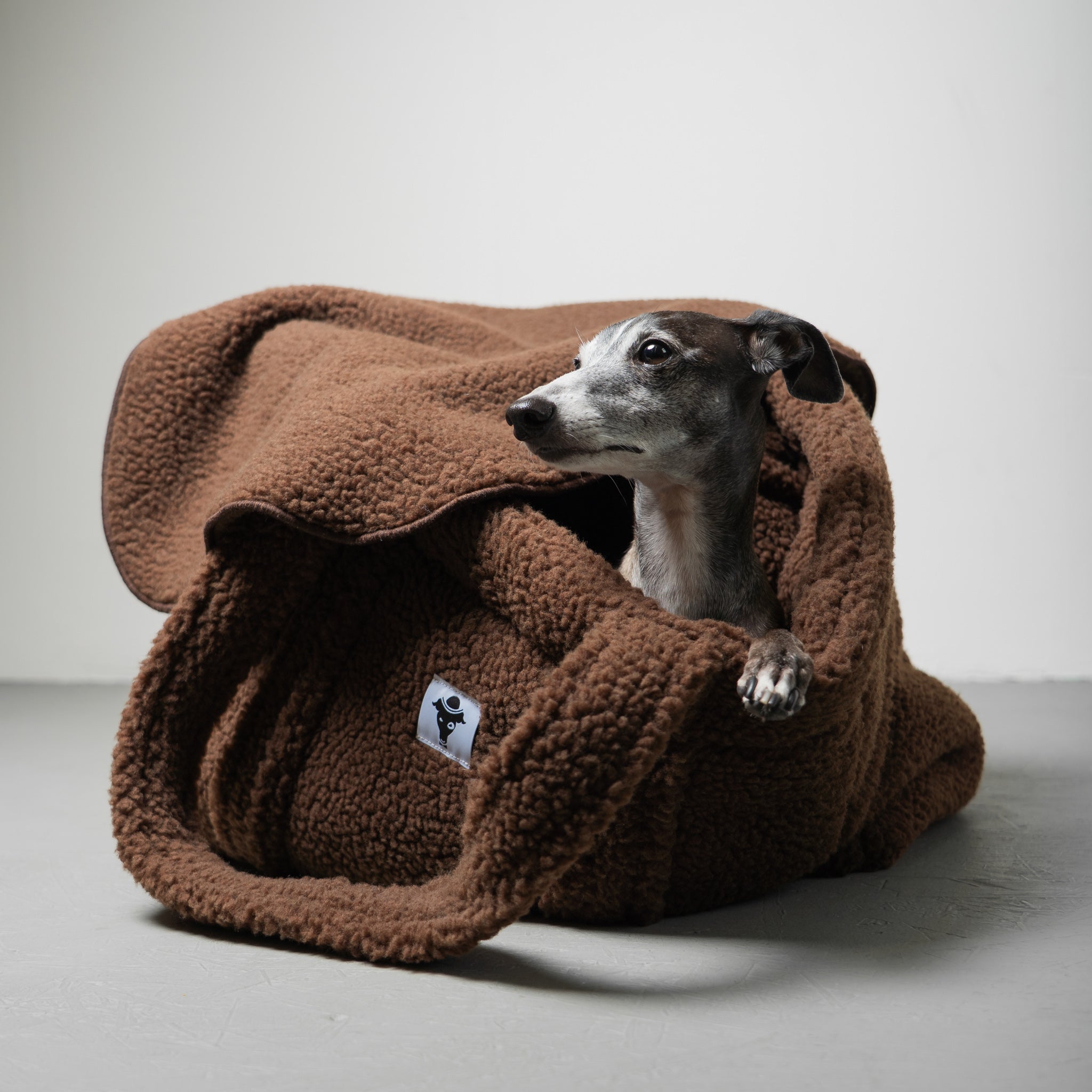 Teddy Shopper BROWN