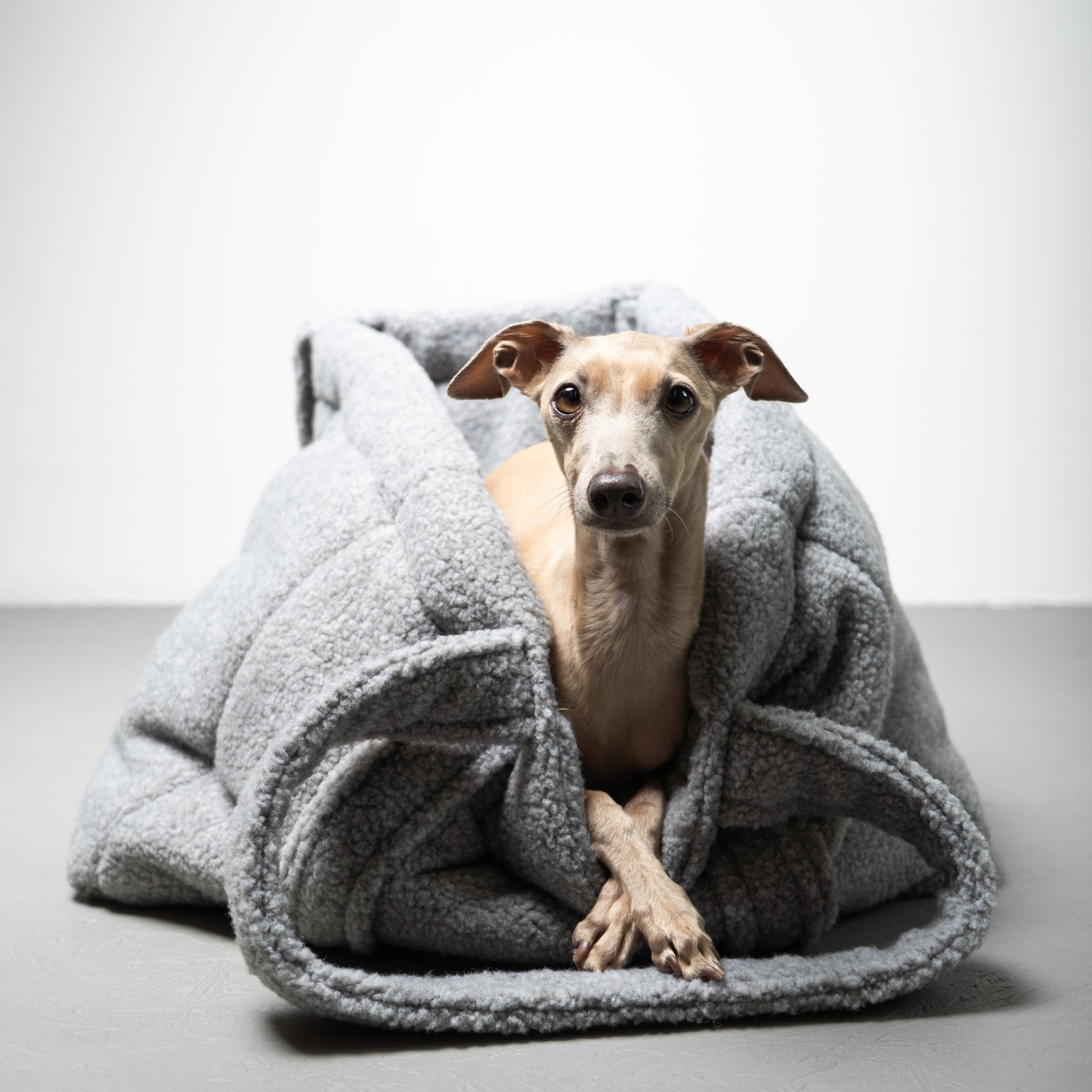 Teddy Shopper GREY