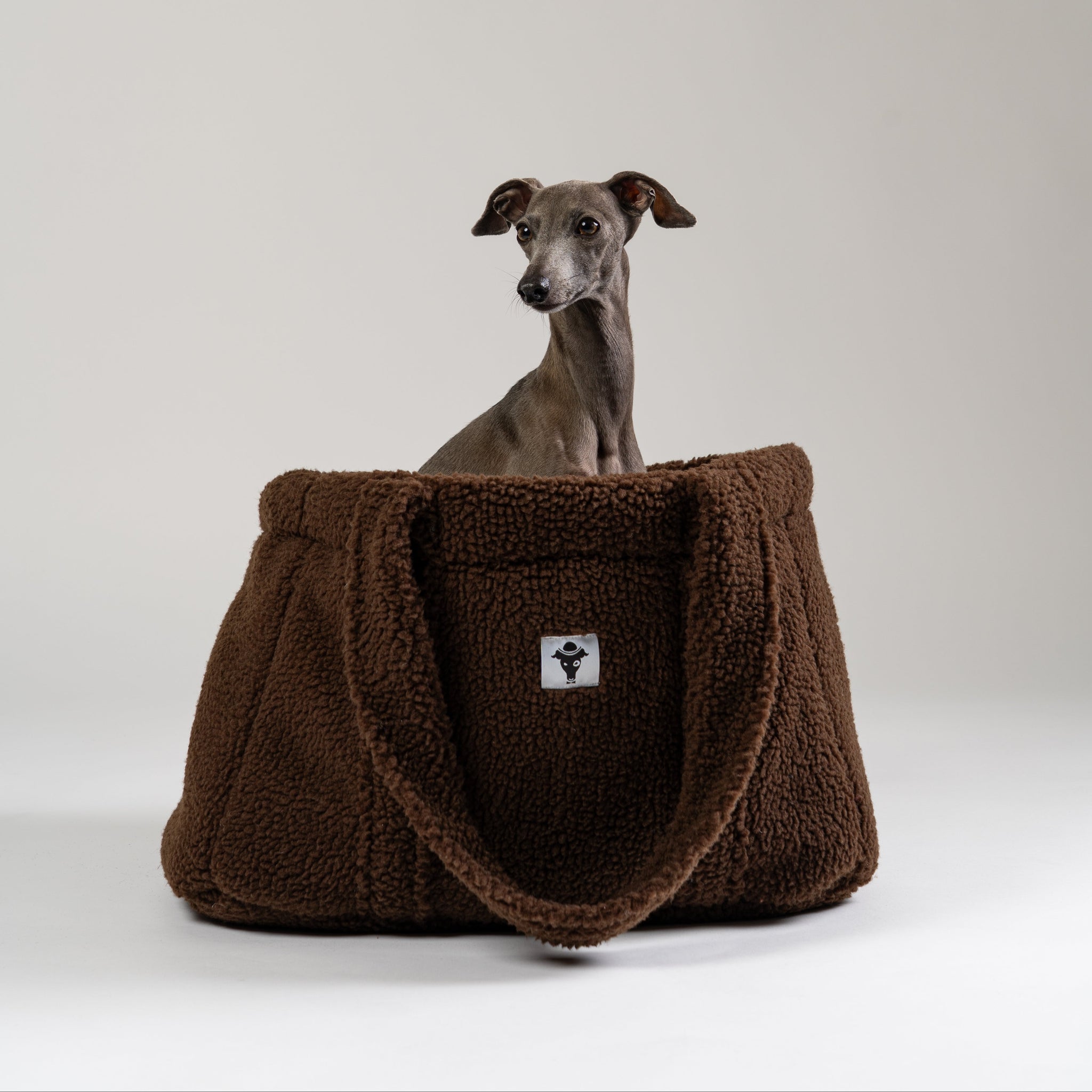 Italienisches Windspiel liegt entspannt im braunen Teddy Shopper von Karma Hund – kuscheliges Reisebettchen und Tragetasche aus weichem Teddy-Stoff.