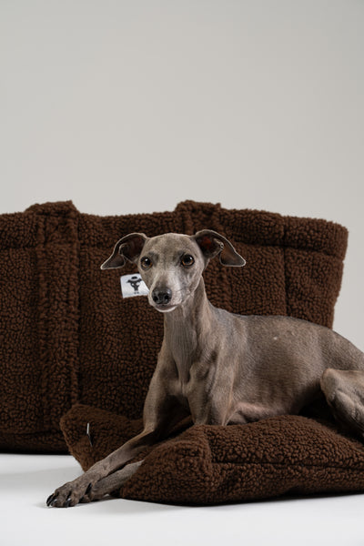 Brauner Teddy Shopper von Karma Hund mit einem kleinen italienischen Windspiel darin – ideal als mobiles Hundebett für unterwegs, Café oder Bahn.
