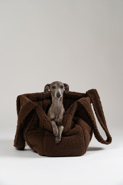 Italienisches Windspiel ruht im braunen Teddy Shopper von Karma Hund – perfektes Hundebett für Restaurant, Café oder Reisen.