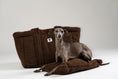 Bild in Galerie-Betrachter laden, Italienisches Windspiel ruht im braunen Teddy Shopper von Karma Hund – perfektes Hundebett für Restaurant, Café oder Reisen.
