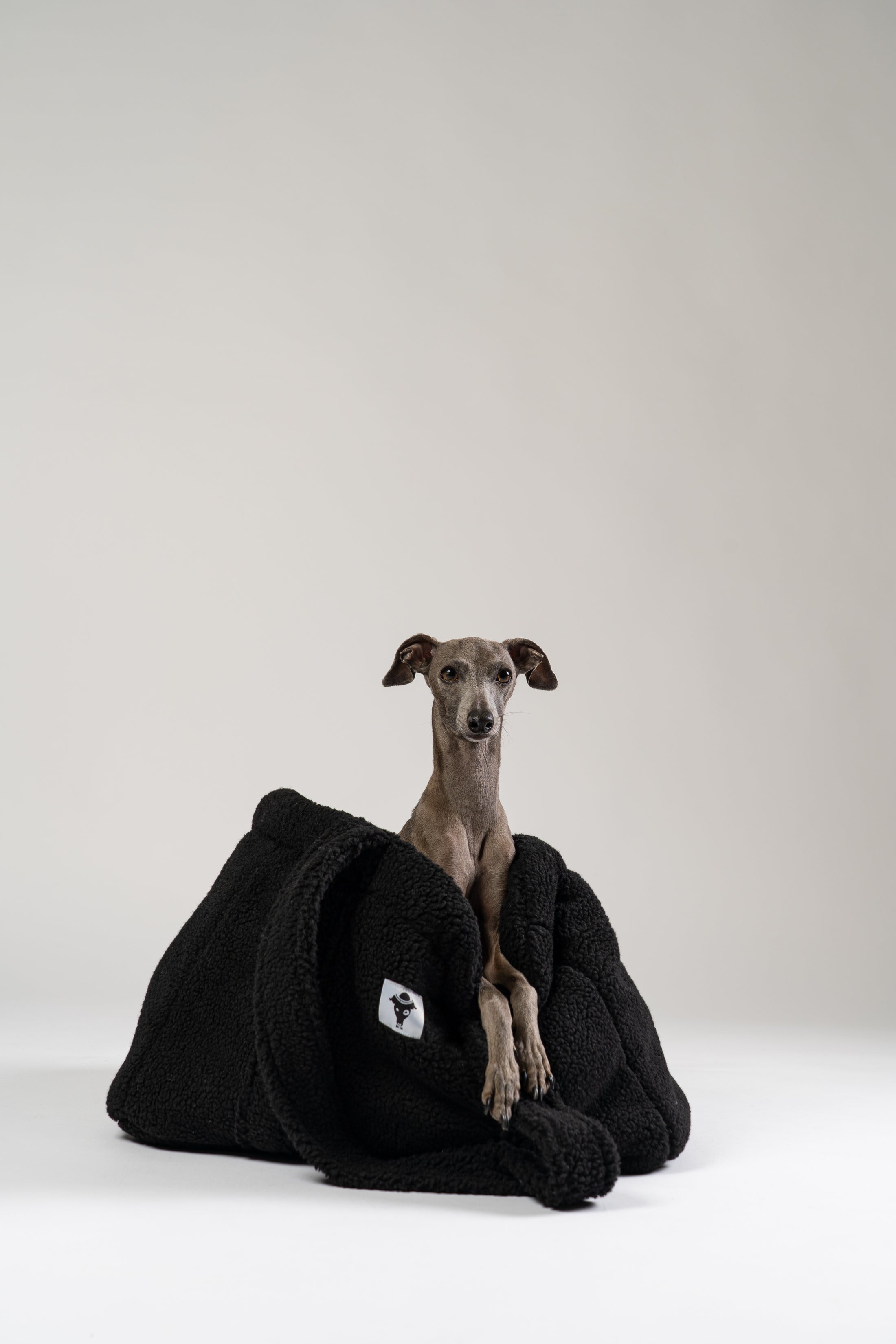 Kuscheliger schwarzer Teddy Shopper von Karma Hund – luxuriöses mobiles Reisebett für kleine Hunde, gezeigt mit italienischem Windspiel.