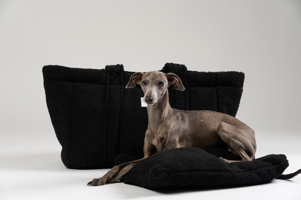 Schwarzer Teddy Shopper von Karma Hund mit kleinem italienischen Windspiel – elegantes, kuscheliges Hundebett für unterwegs.