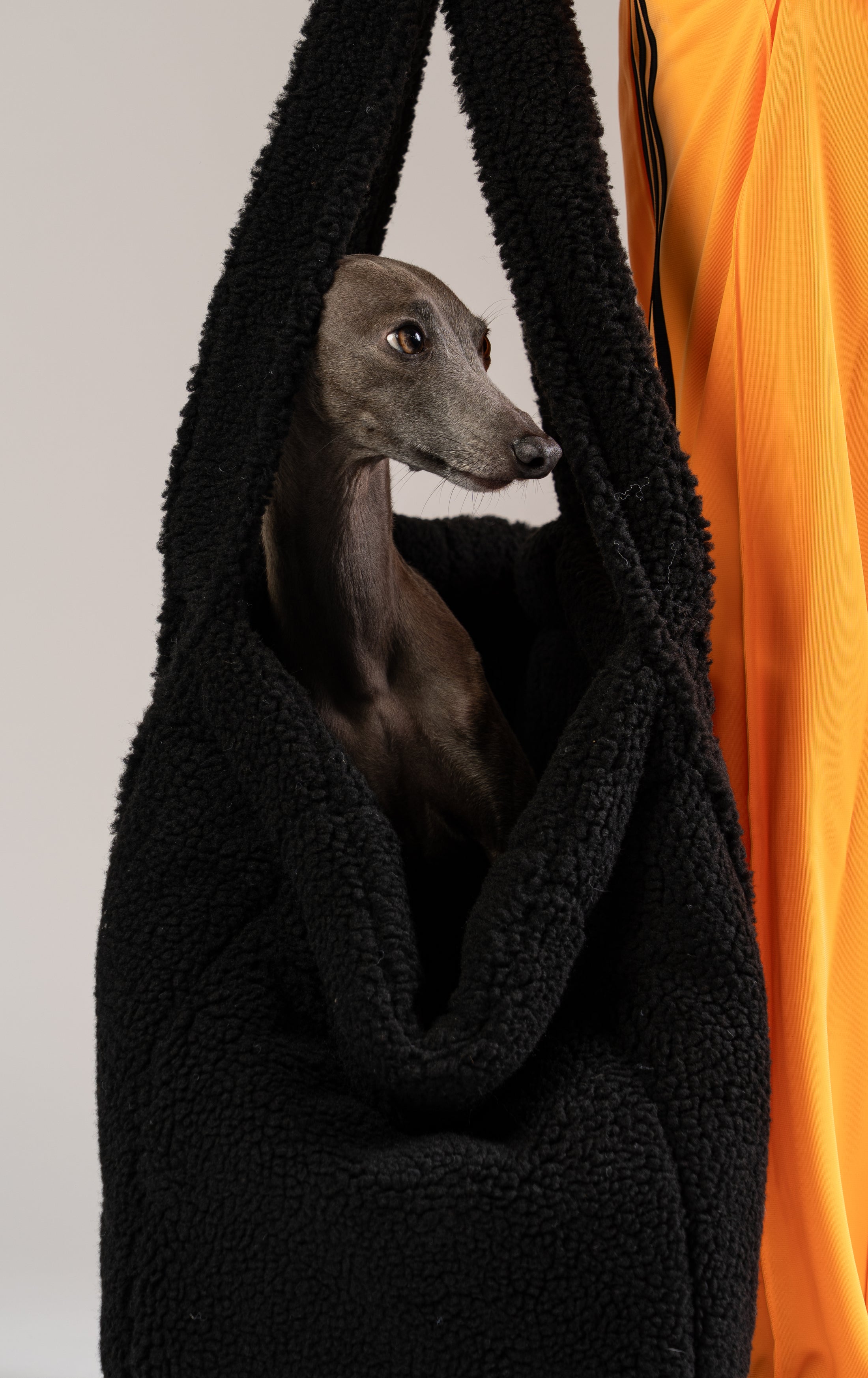 Schwarzer Karma Hund Teddy Shopper mit italienischem Windspiel – perfekter Rückzugsort für kleine Hunde auf Reisen oder in der Bahn.