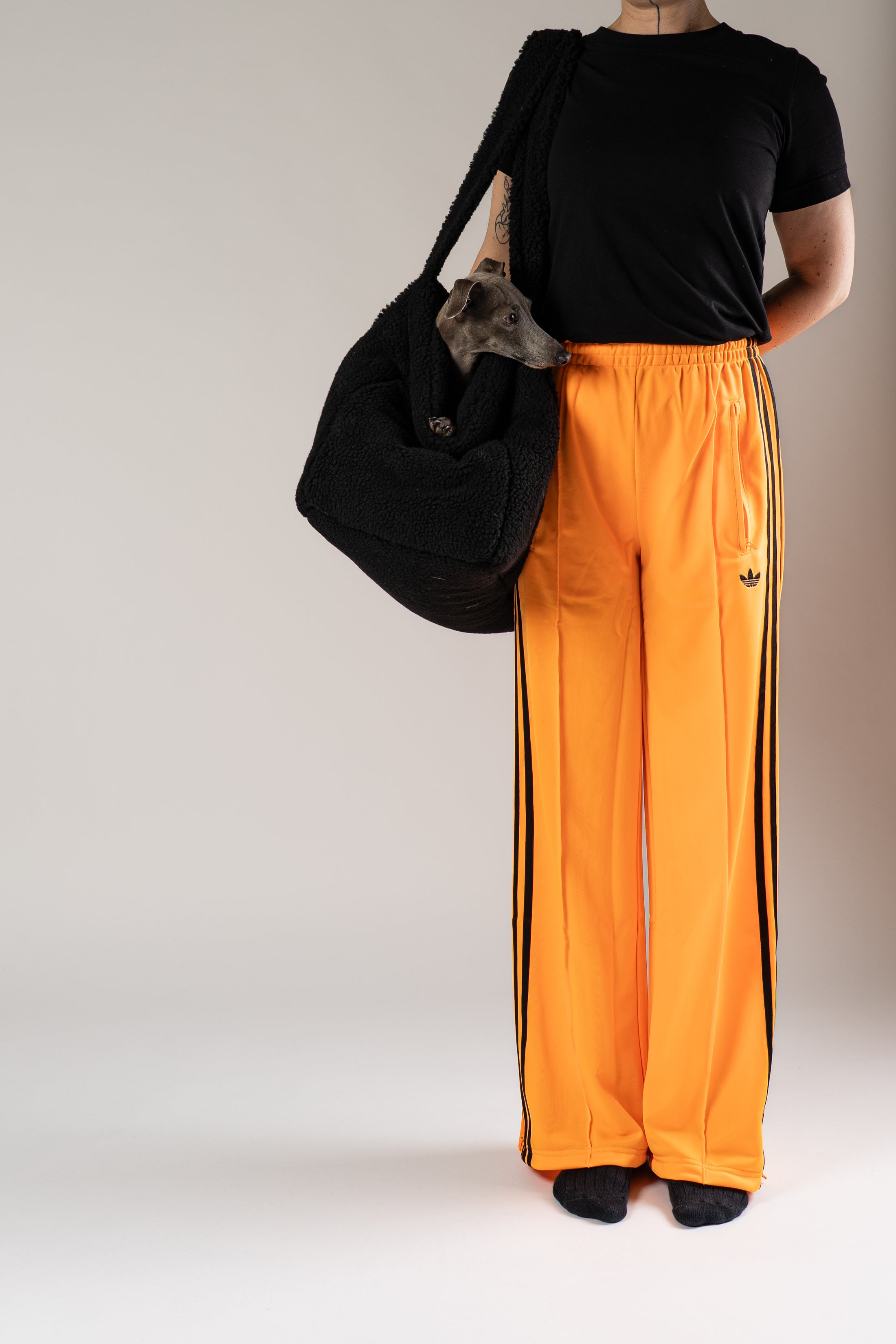 Weicher schwarzer Teddy Shopper von Karma Hund aus kuscheligem Teddy-Stoff – kleines italienisches Windspiel liegt entspannt darin.