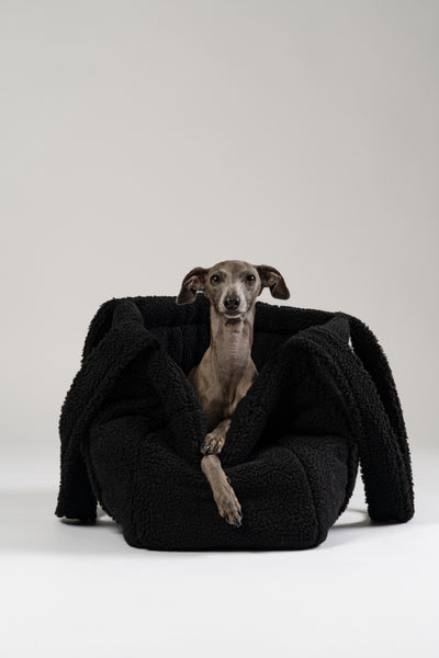 Italienisches Windspiel ruht im schwarzen Teddy Shopper – stilvolles Reisebett von Karma Hund für kleine Hunde.