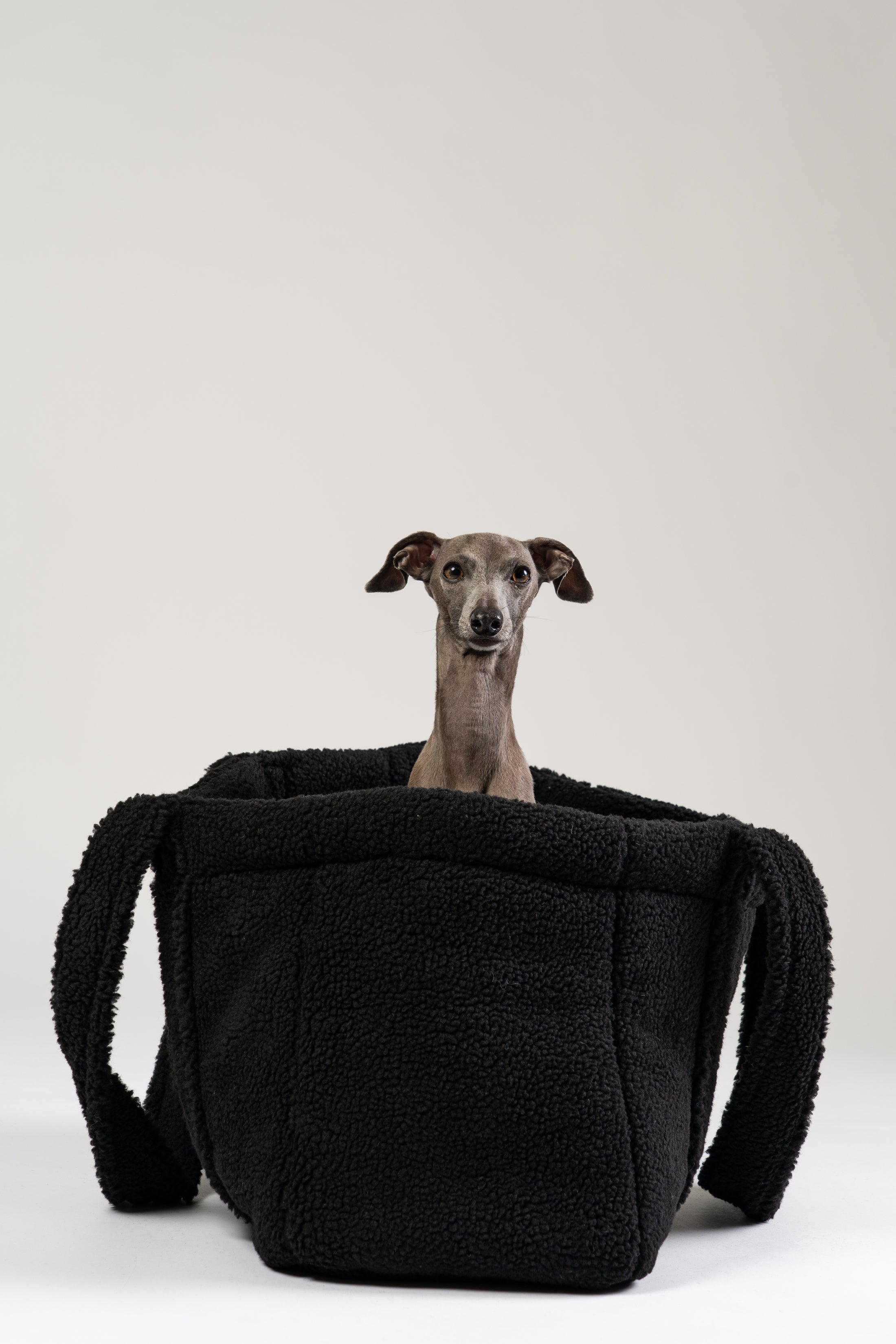 Flauschiger schwarzer Teddy Shopper von Karma Hund – eleganter Rückzugsort und Tragetasche für kleine Hunde, mit italienischem Windspiel.