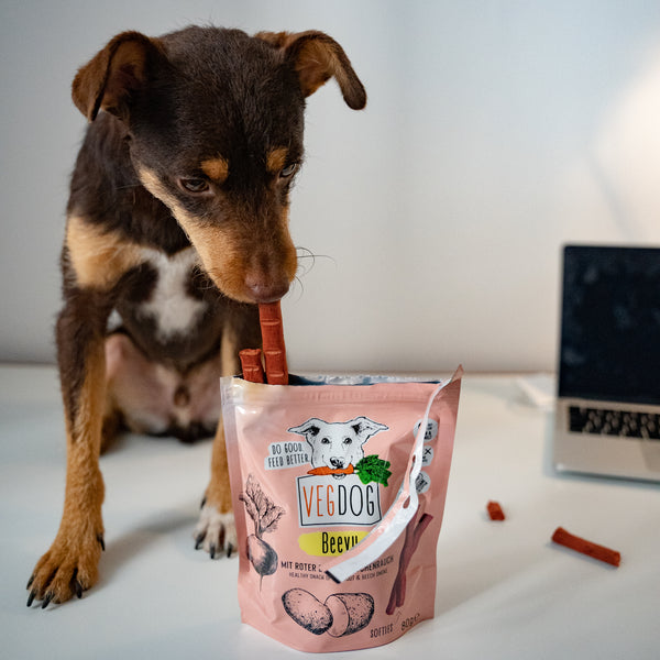VEGDOG Beevys