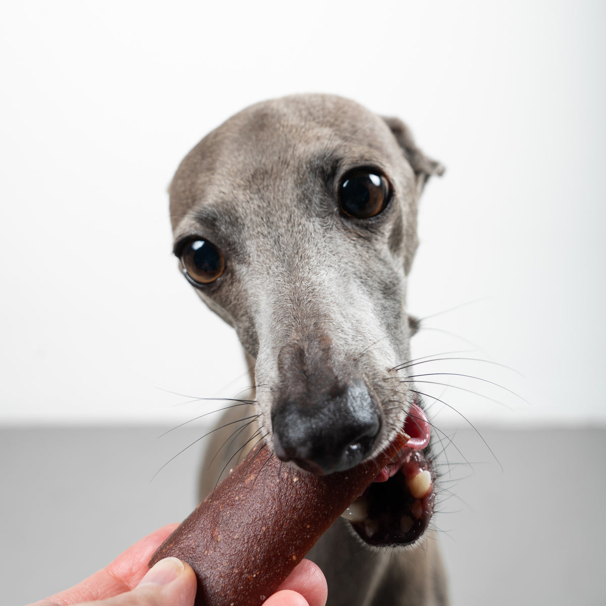 VEGDOG Chevvies SMALL
