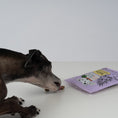 Bild in Galerie-Betrachter laden, VEGDOG Mobilities Minis
