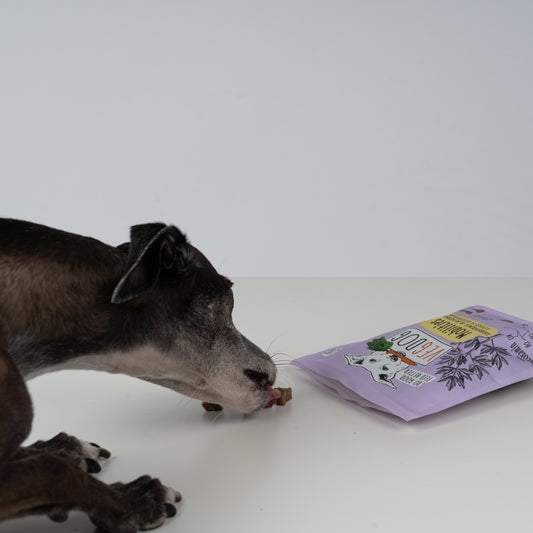 VEGDOG Mobilities Minis