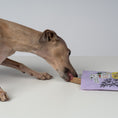 Bild in Galerie-Betrachter laden, VEGDOG Mobilities
