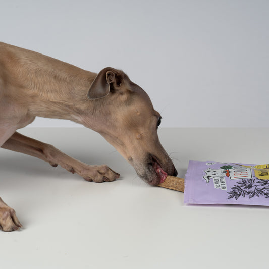 VEGDOG Mobilities