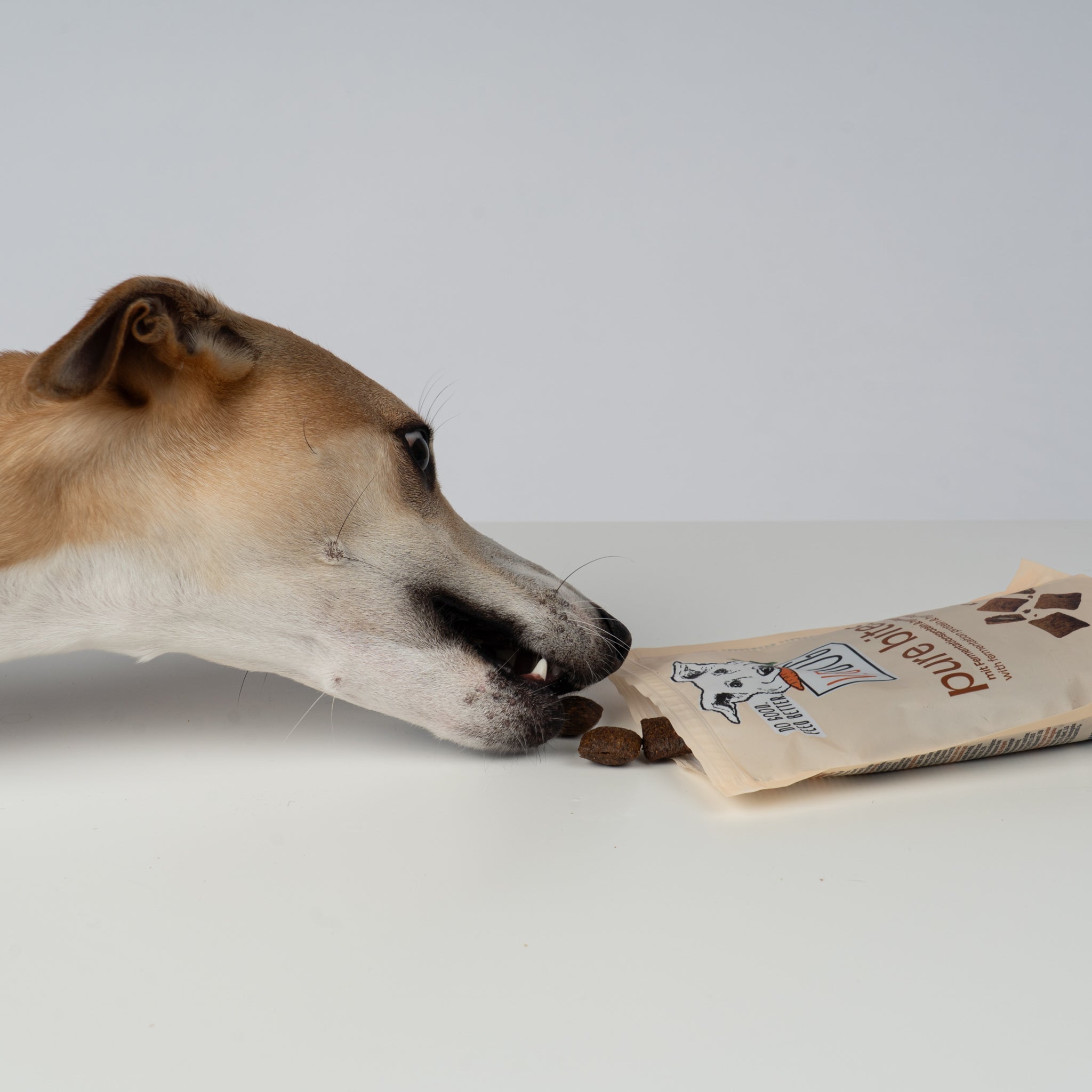 VEGDOG Pure Bites
