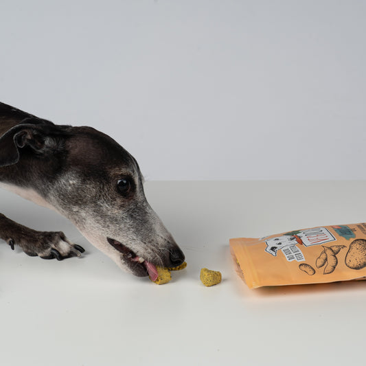 VEGDOG Veggies Immune
