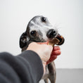 Bild in Galerie-Betrachter laden, VEGDOG Winter Cookies
