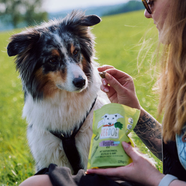 VEGDOG Veggies Skincare