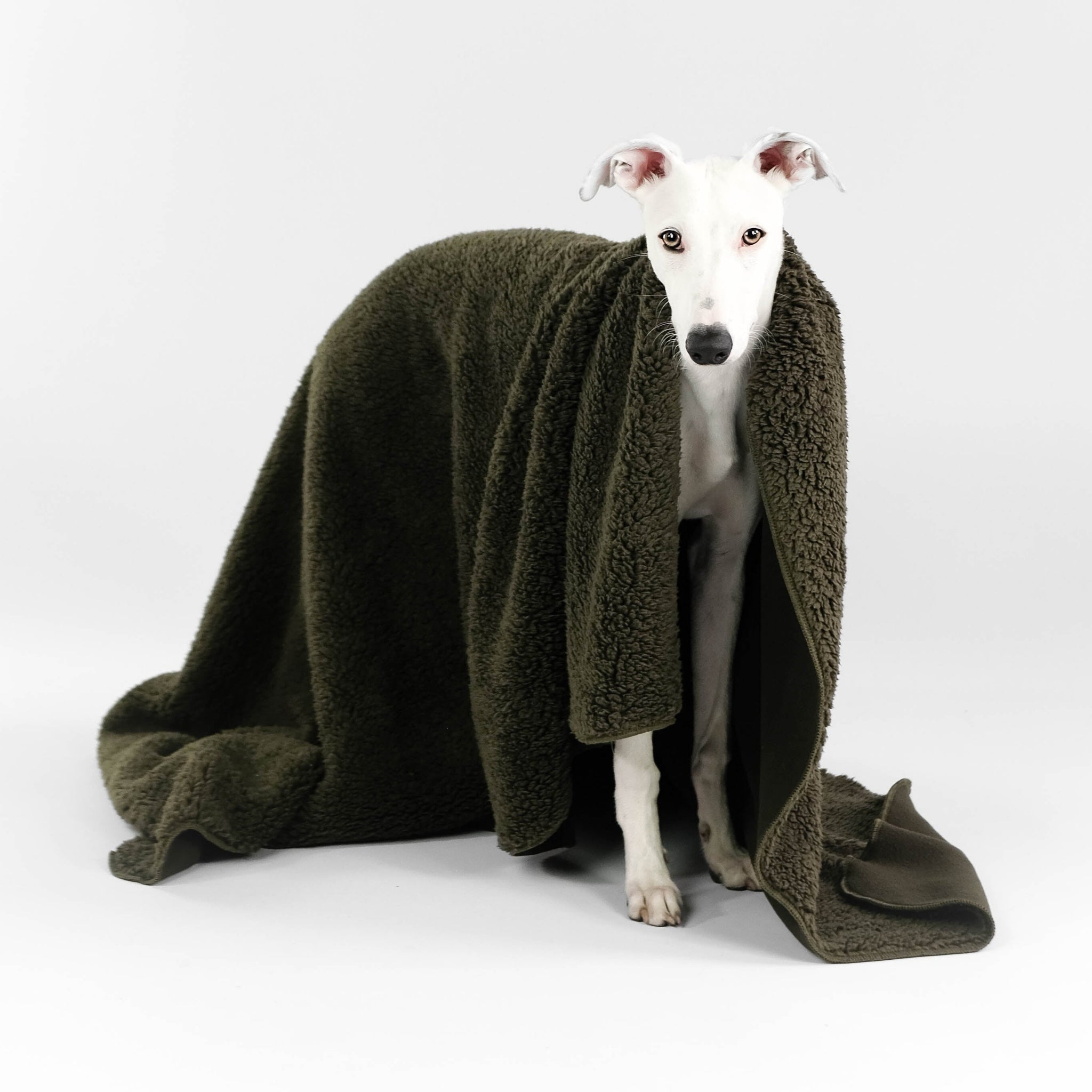 Wellsoft Kuscheldecke Hund