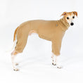 Bild in Galerie-Betrachter laden, Whippet Fleece Overall Camel
