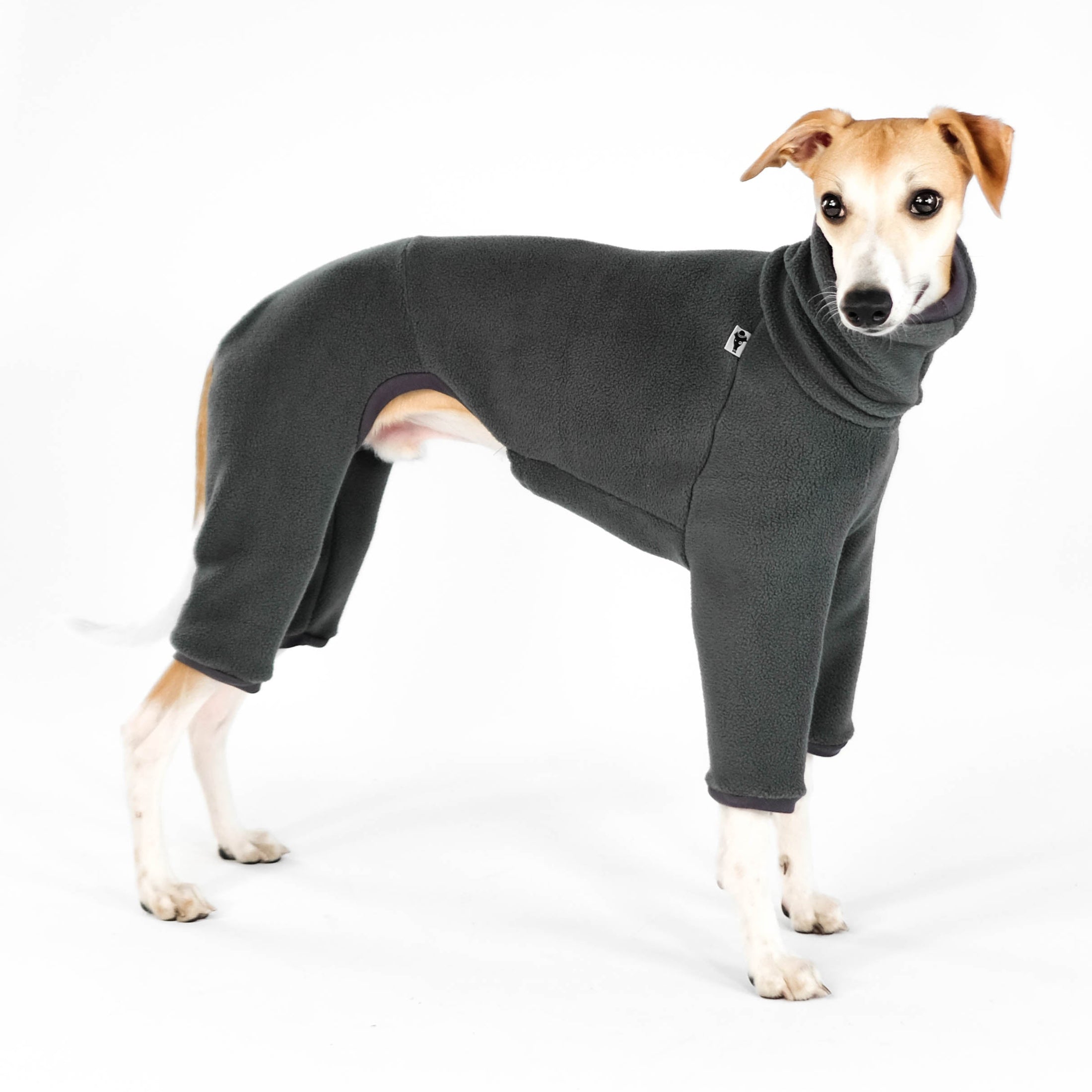 Whippet Overall Graphite