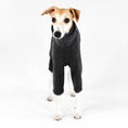 Bild in Galerie-Betrachter laden, Whippet Overall Fleece Anthrazit
