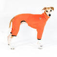 Bild in Galerie-Betrachter laden, Whippet Fleece Overall Halloween
