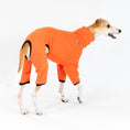 Bild in Galerie-Betrachter laden, Whippet Fleece Overall Halloween

