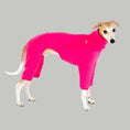 Bild in Galerie-Betrachter laden, Whippet Fleece Overall Magenta
