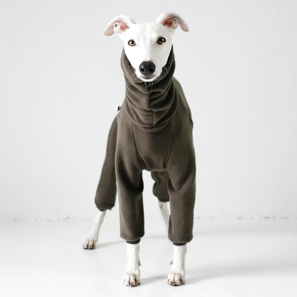 Whippet Pullover