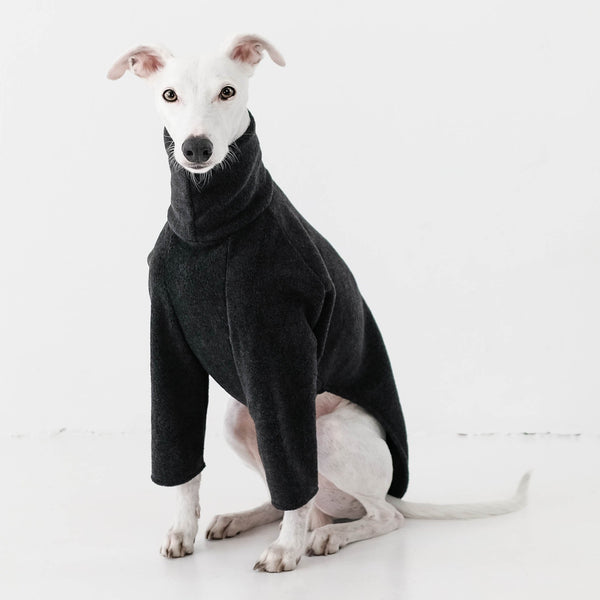 Hundepullover für Windhunde