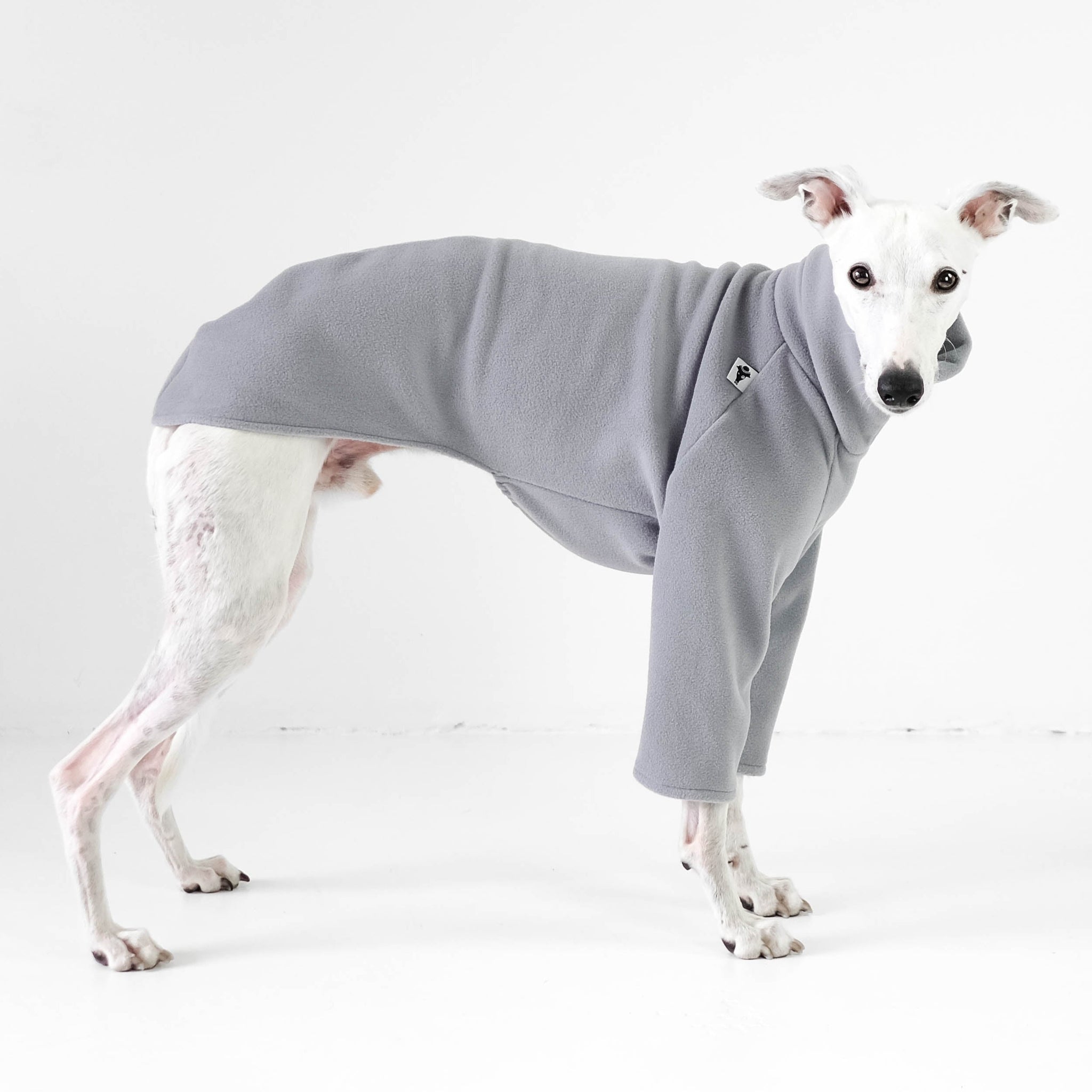 Whippet Kleidung