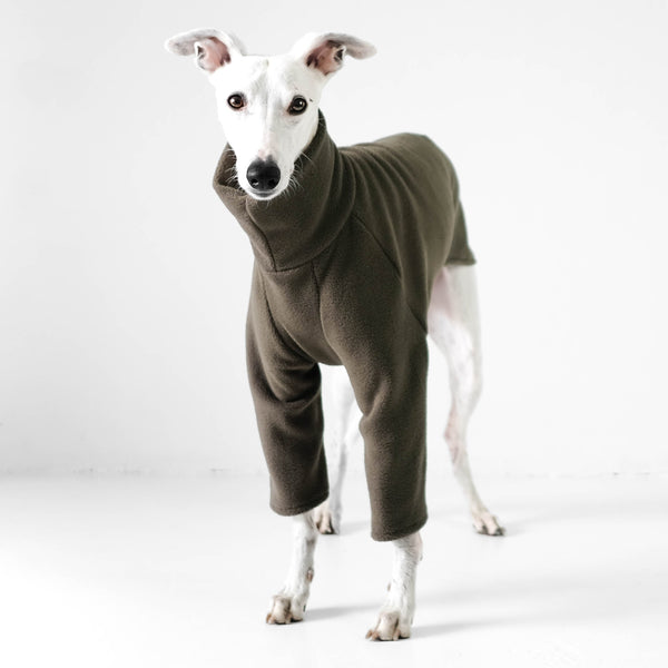 Whippet Pullover Olive