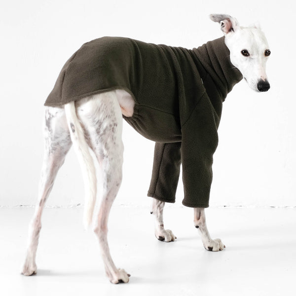 Whippet Kleidung