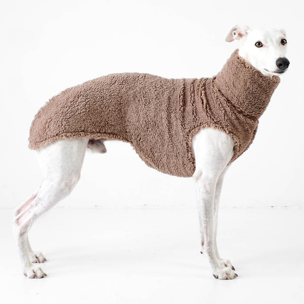 whippet long shirt teddy